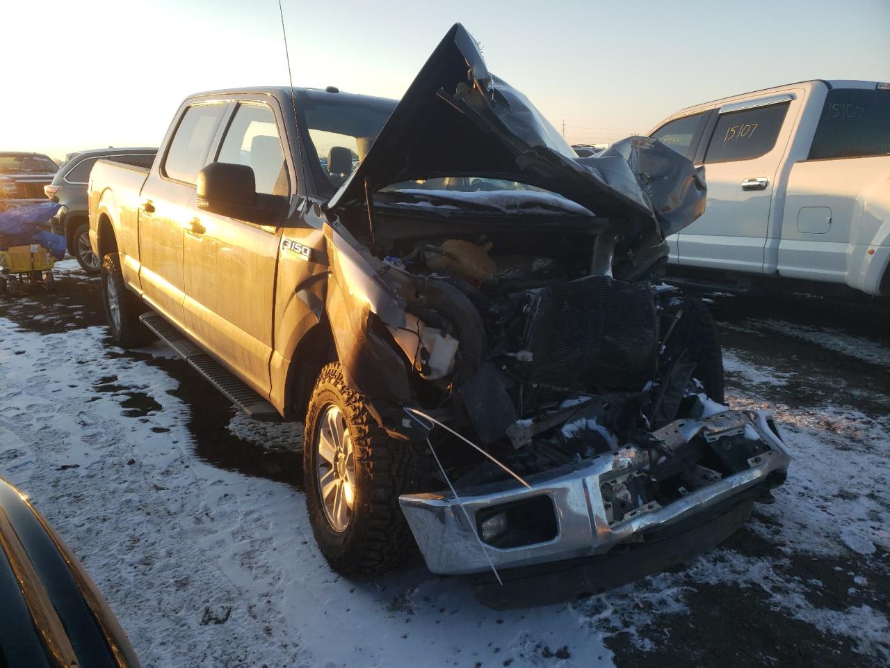 Photo 1 from auction – 2016 FORD F150 SUPER with VIN 1FTFW1EF8GKF22336