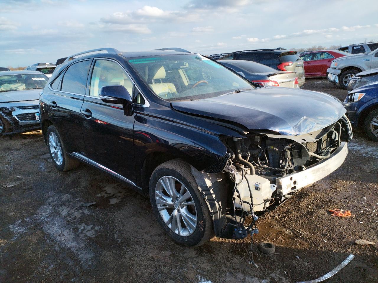 LEXUS RX 450 2010 with VIN JTJBC1BA3A2012058 - Photo from auction