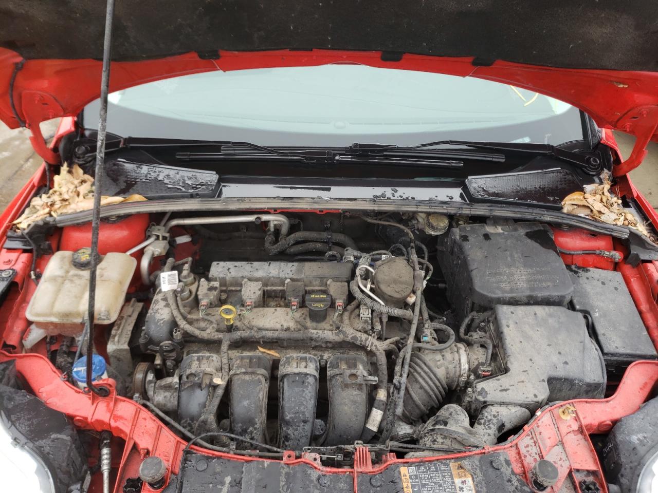 Photo 7 from auction – 2014 FORD FOCUS SE with VIN 1FADP3F26EL278159