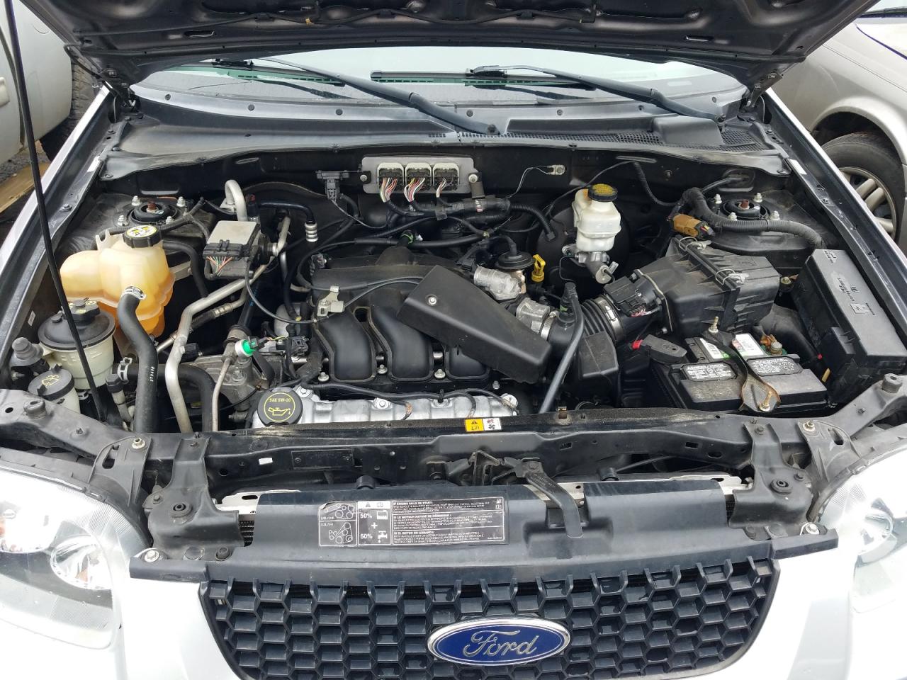 Photo 7 from auction – 2007 FORD ESCAPE XLT with VIN 1FMYU031X7KA04451