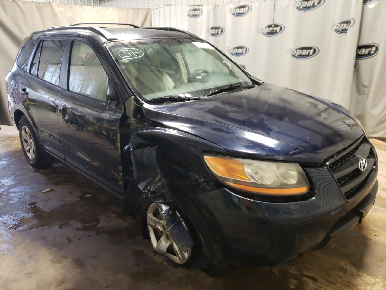 HYUNDAI SANTA FE G 2009 with VIN 5NMSG73D59H279261 - Photo from auction