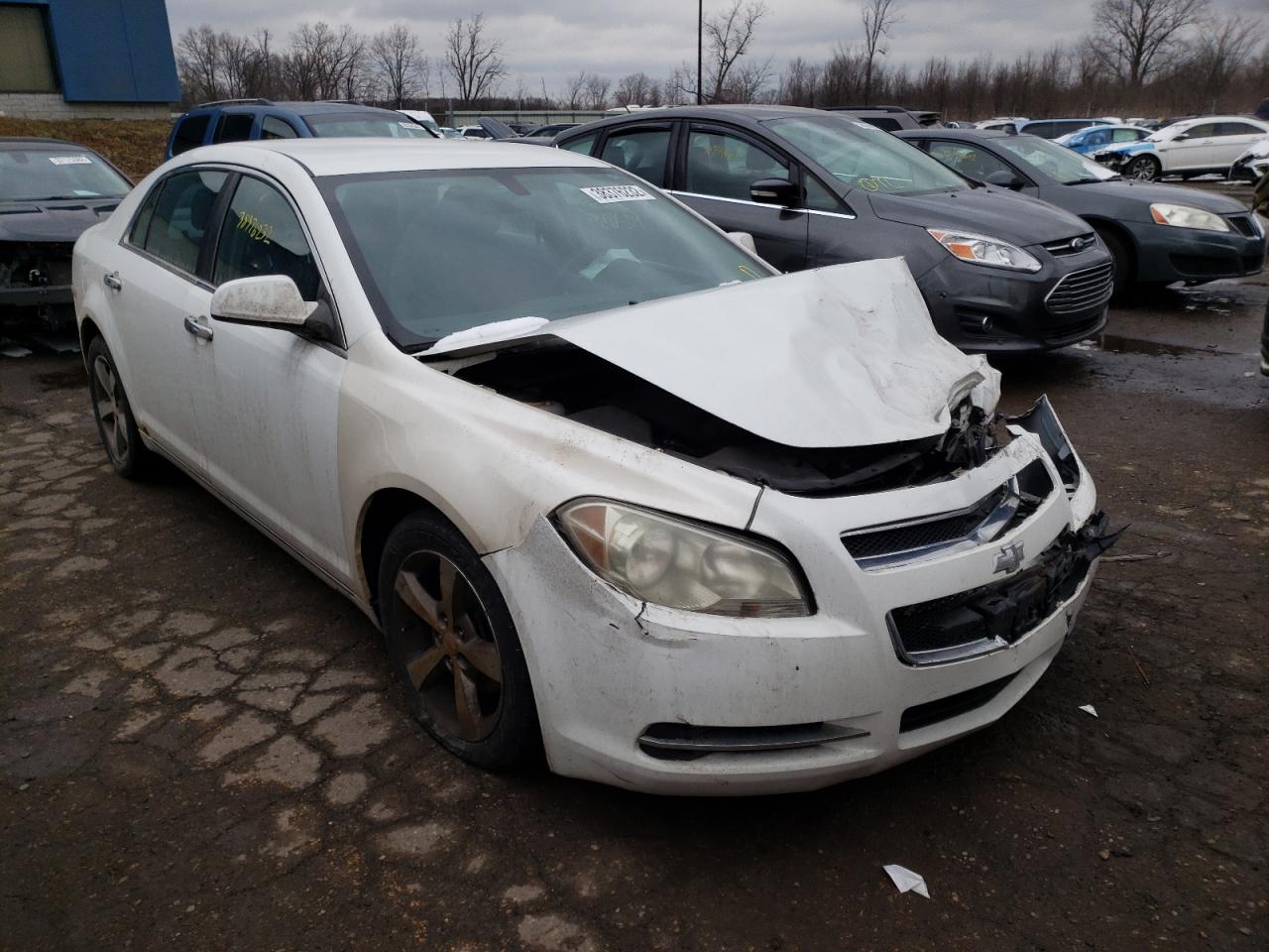 CHEVROLET MALIBU 1LT 2011 with VIN 1G1ZC5EU9BF369729 - Photo from auction