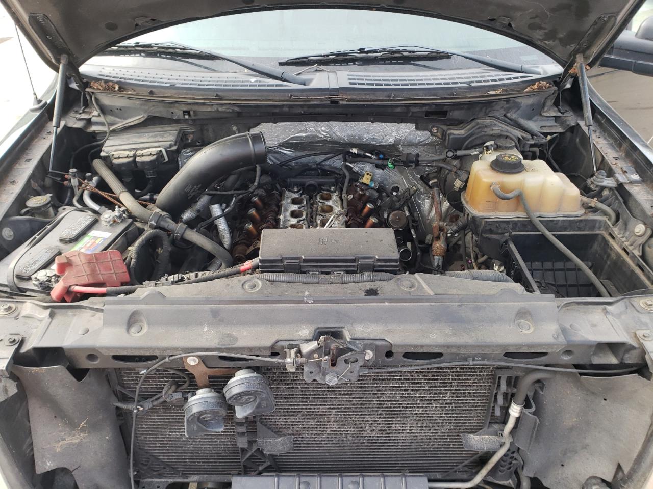 Photo 7 from auction – 2013 FORD F150 SUPER with VIN 1FTFW1ET5DFC06550