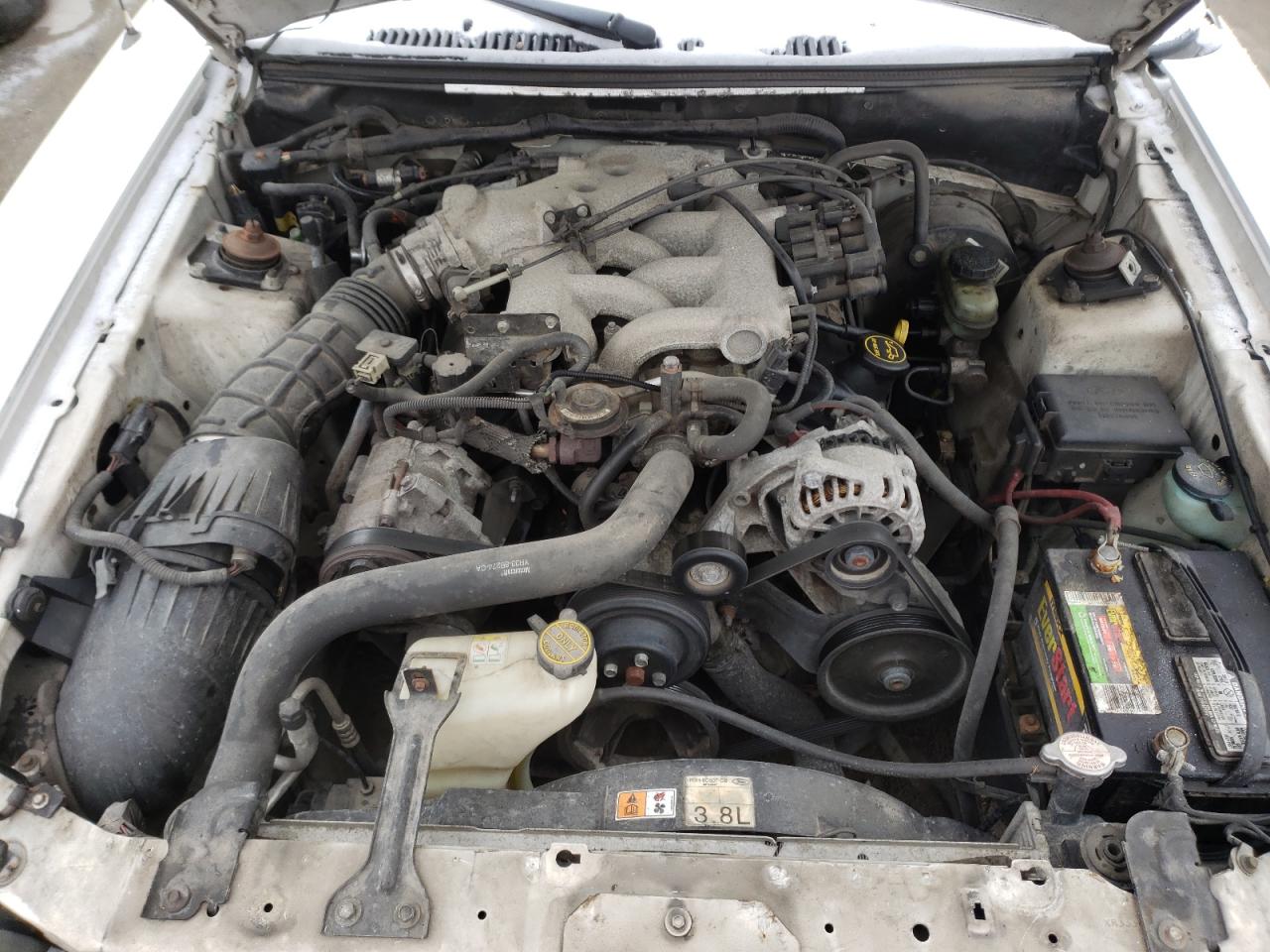 Photo 7 from auction – 2001 FORD MUSTANG with VIN 1FAFP40461F193033
