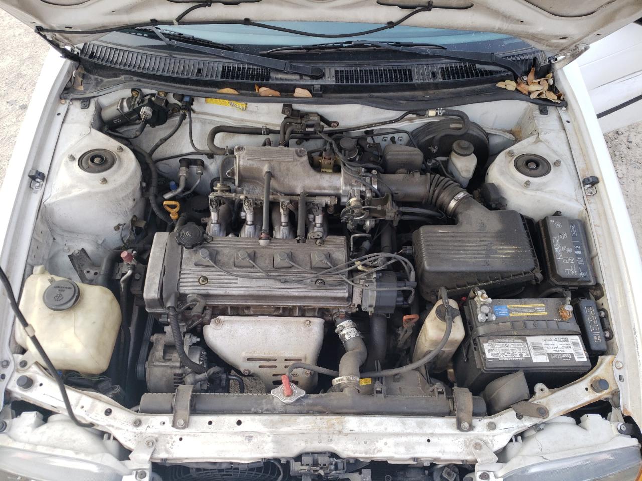 Photo 7 from auction – 1995 TOYOTA COROLLA LE with VIN 1NXAE09B7SZ293932