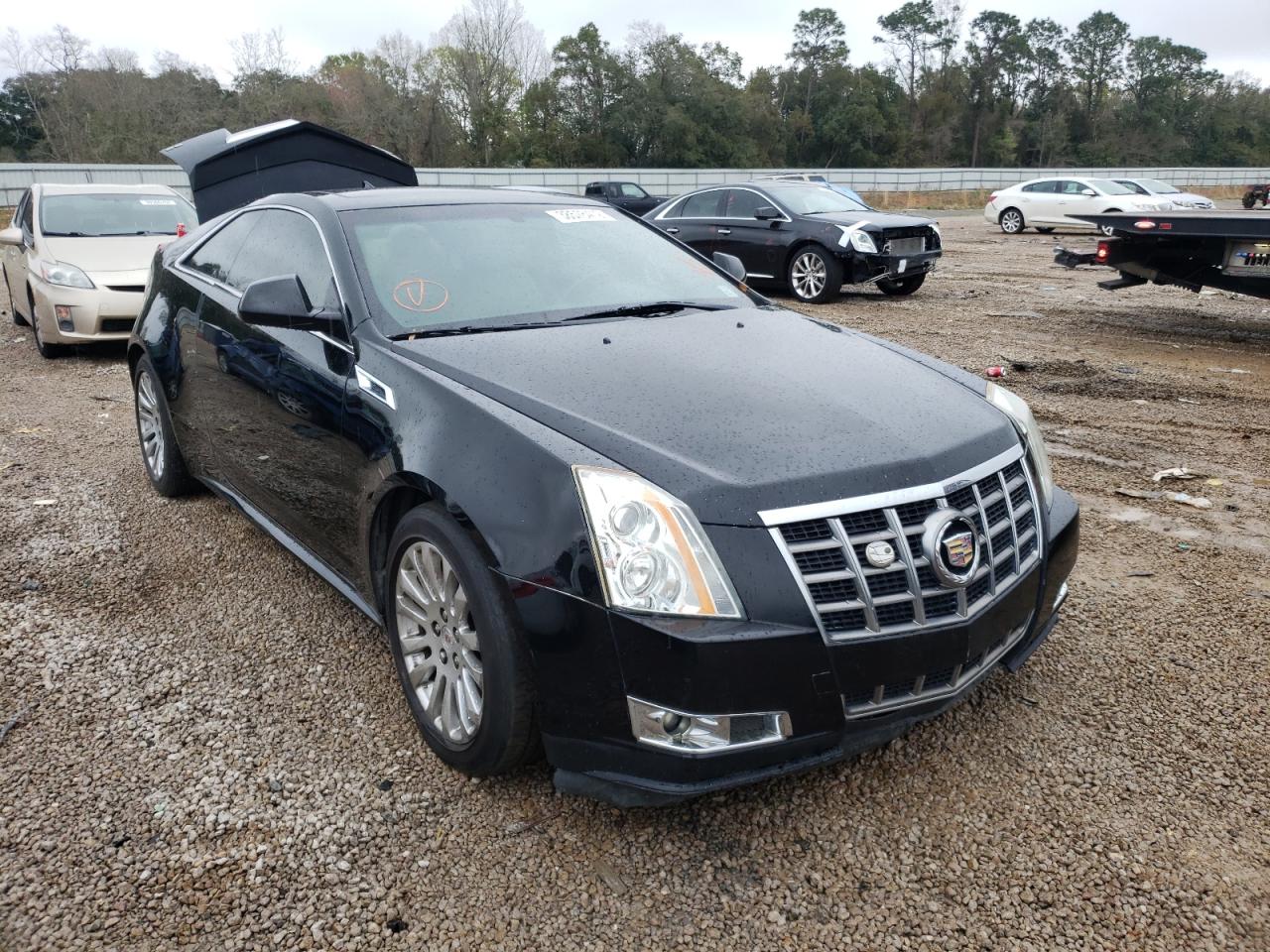 CADILLAC CTS PERFOR 2012 with VIN 1G6DK1E31C0126976 - Photo from auction