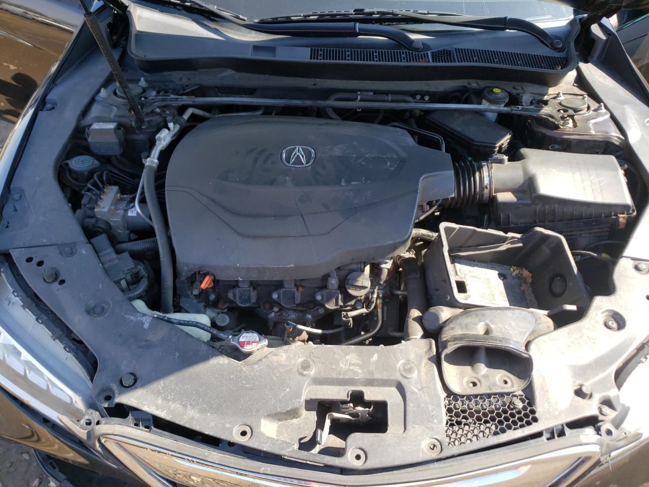 Photo 7 from auction – 2016 ACURA TLX TECH with VIN 19UUB2F55GA002746
