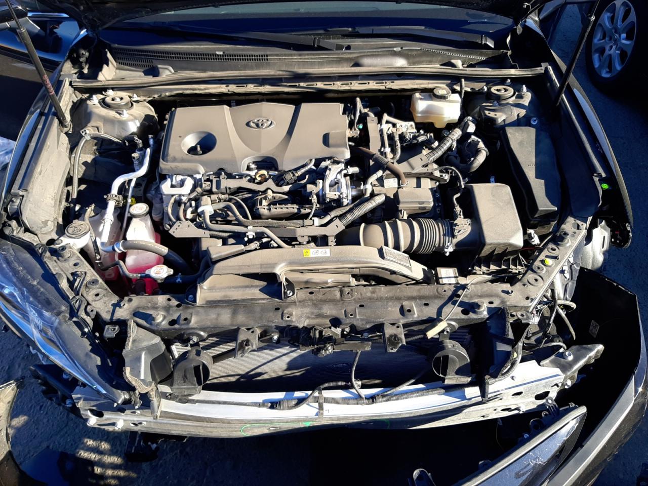 Photo 7 from auction – 2020 TOYOTA CAMRY SE with VIN 4T1G31AK9LU543786