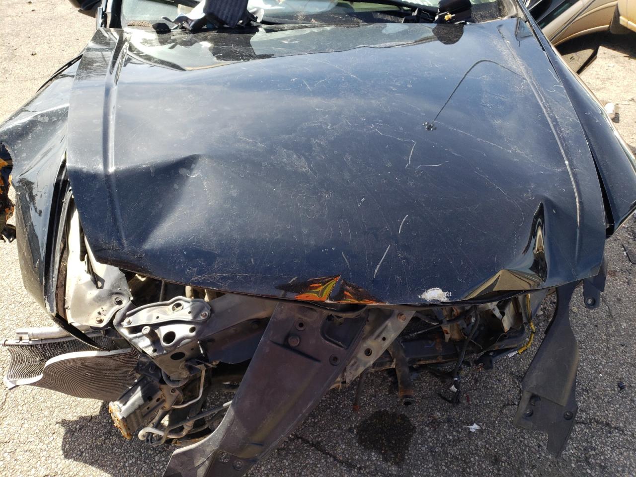Photo 7 from auction – 2010 HONDA ACCORD EXL with VIN 1HGCP2F81AA063185
