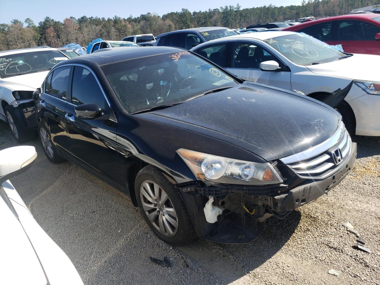 HONDA ACCORD EXL 2012 with VIN 1HGCP3F8XCA006489 - Photo from auction