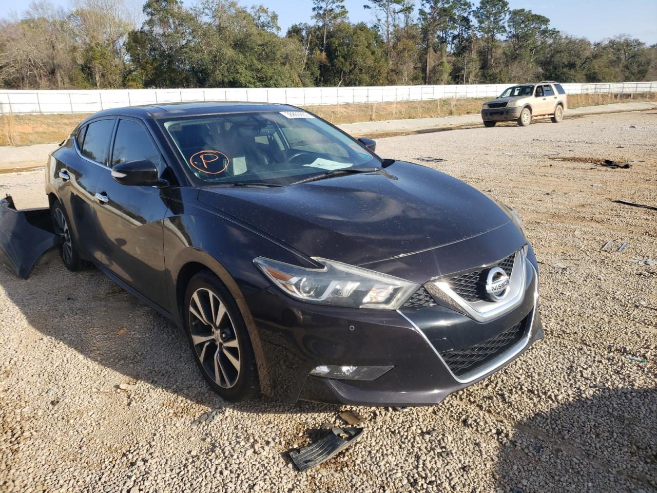 NISSAN MAXIMA 3.5 2016 with VIN 1N4AA6AP4GC387893 - Photo from auction