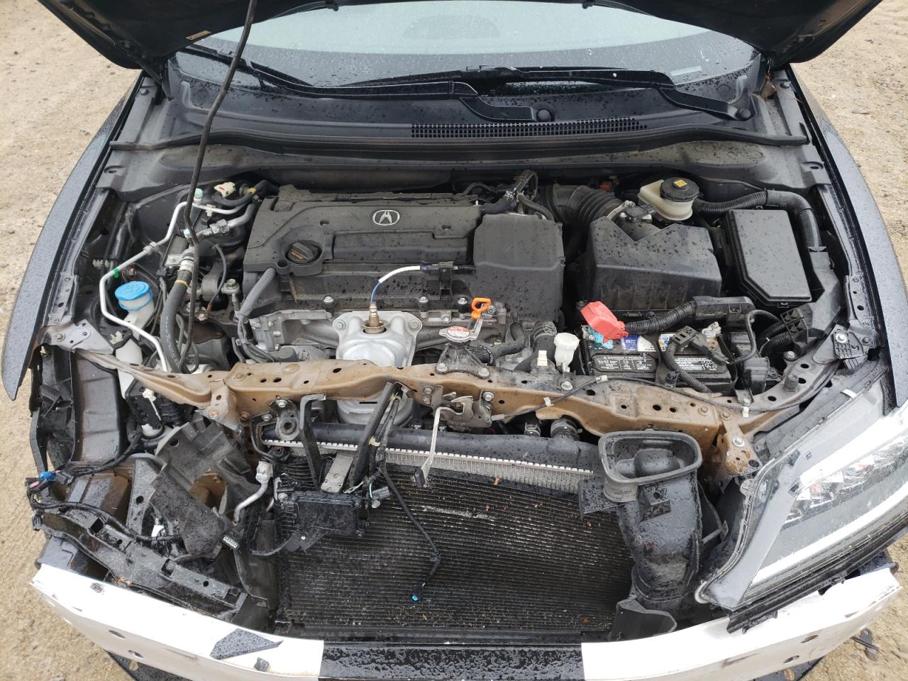 Photo 7 from auction – 2016 ACURA ILX PREMIU with VIN 19UDE2F81GA007993