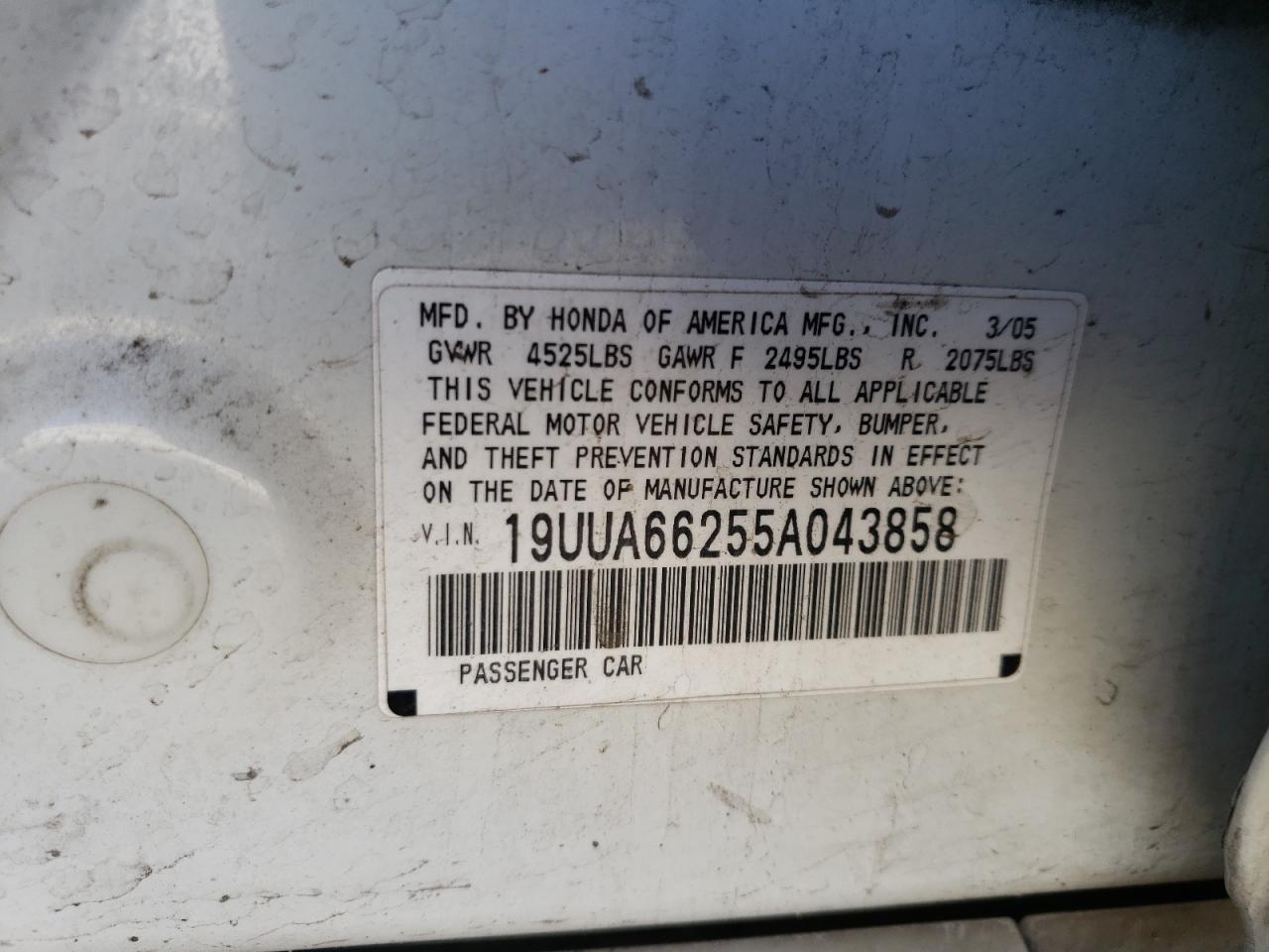 Photo 10 from auction – 2005 ACURA TL with VIN 19UUA66255A043858