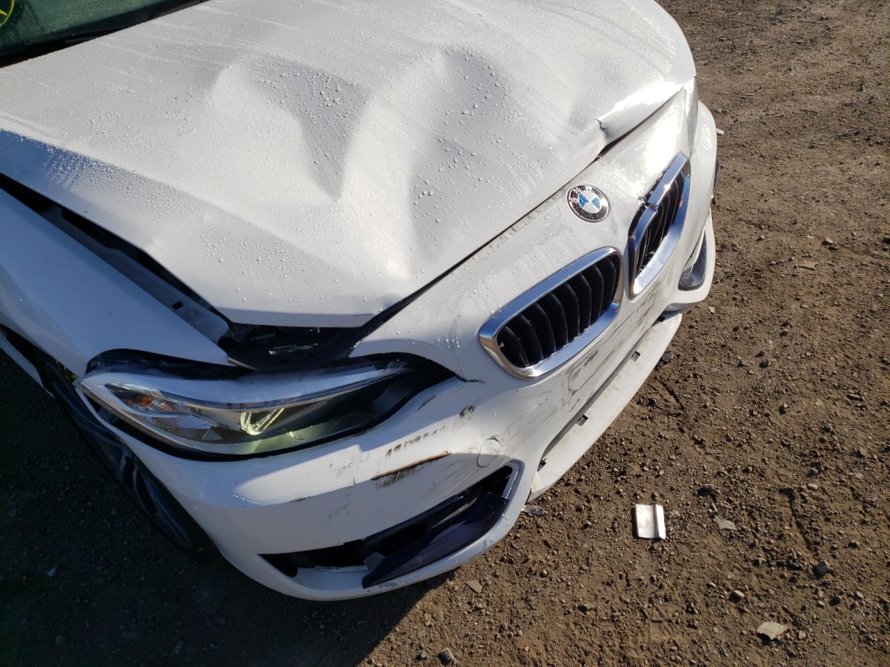 Photo 9 from auction – 2015 BMW 228 I with VIN WBA1K5C59FV242684
