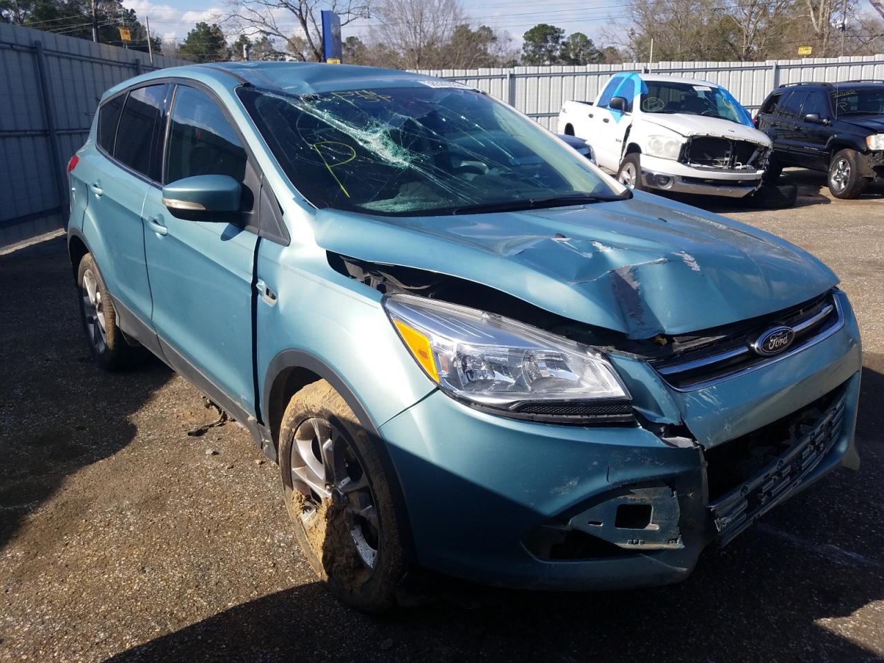 FORD ESCAPE SEL 2013 with VIN 1FMCU0H96DUA30005 - Photo from auction