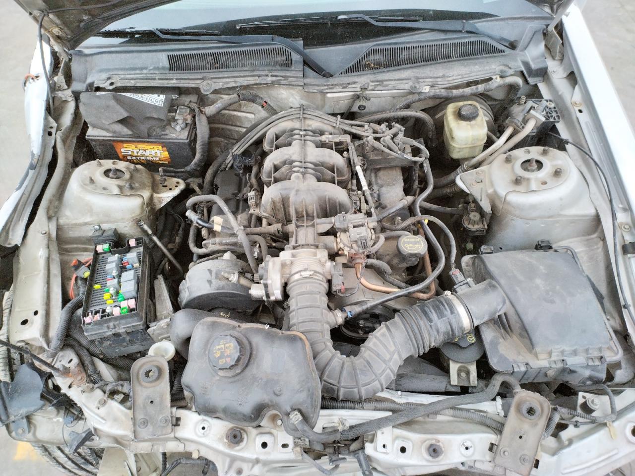 Photo 7 from auction – 2006 FORD MUSTANG with VIN 1ZVFT80N065176227