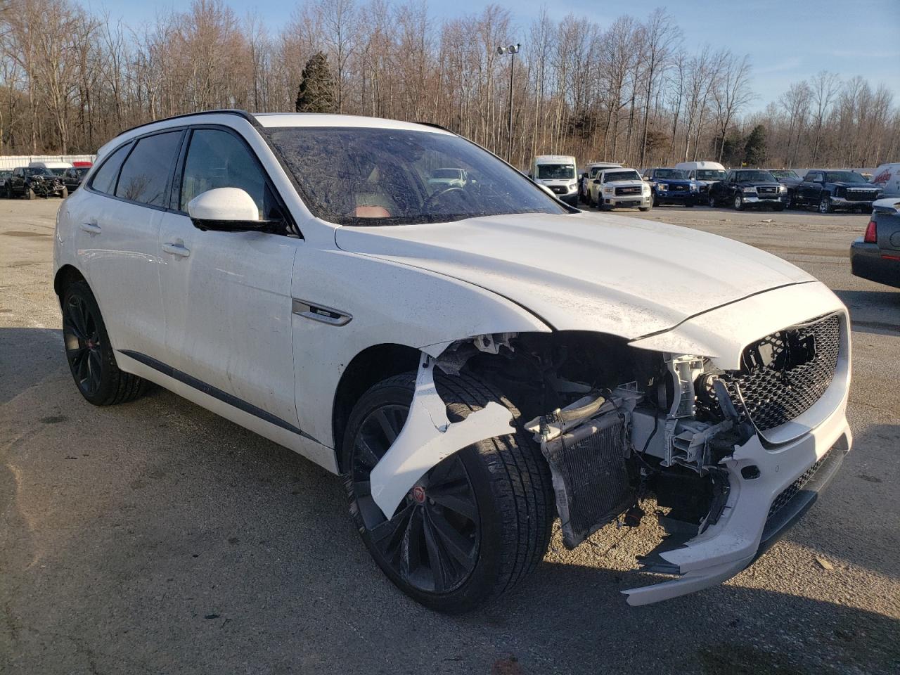 JAGUAR F-PACE R - 2018 with VIN SADCL2FXXJA288887 - Photo from auction