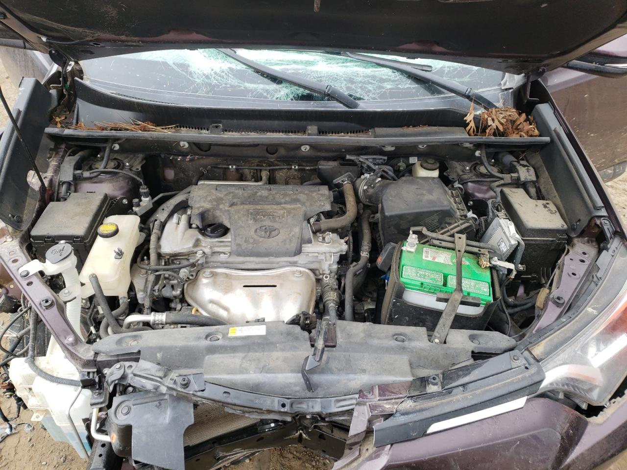 Photo 7 from auction – 2016 TOYOTA RAV4 XLE with VIN 2T3WFREV7GW259849