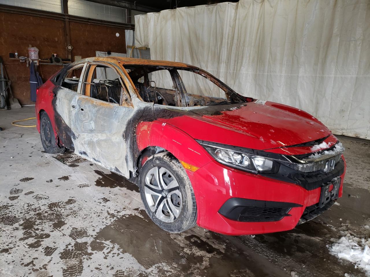 HONDA CIVIC LX 2017 with VIN 2HGFC2F58HH508614 - Photo from auction