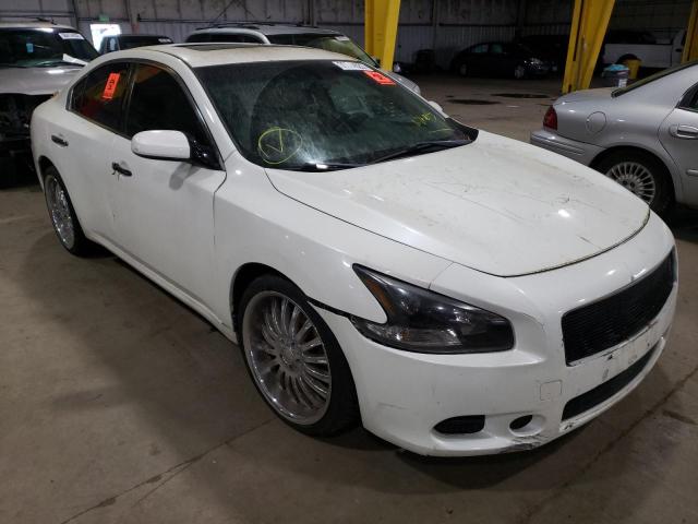 NISSAN MAXIMA S 2010 with VIN 1N4AA5AP2AC846503 - Photo from auction