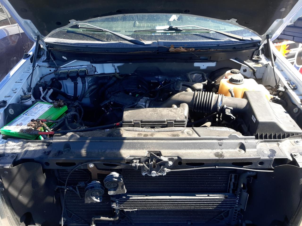 Photo 7 from auction – 2013 FORD F150 with VIN 1FTMF1CM0DKD65809