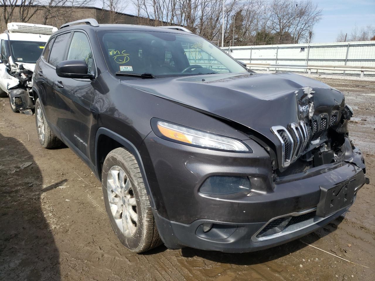 JEEP CHEROKEE L 2014 with VIN 1C4PJMDS2EW197143 - Photo from auction
