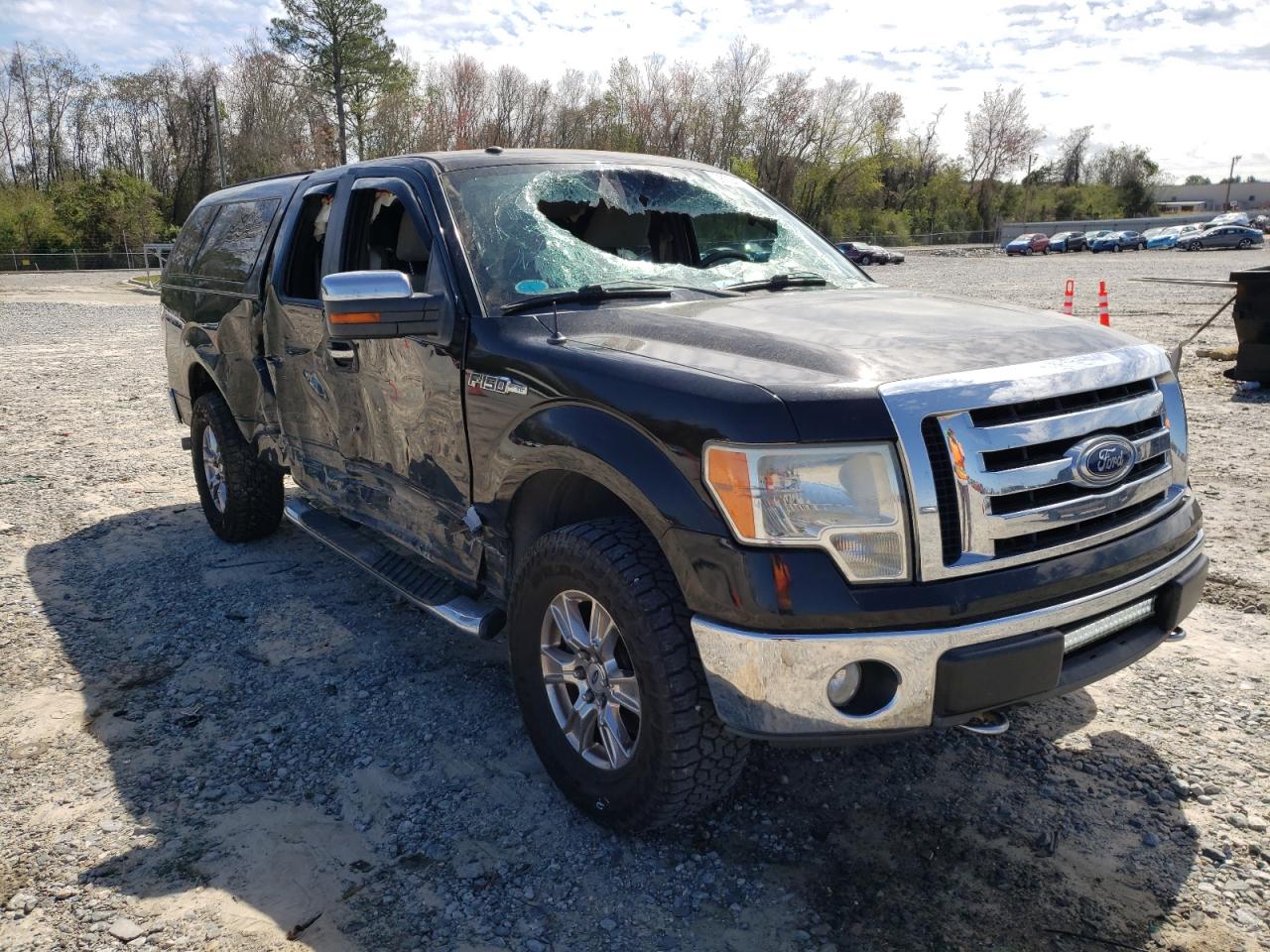 FORD F150 2009 with VIN 1FTRX14819FA10829 - Photo from auction