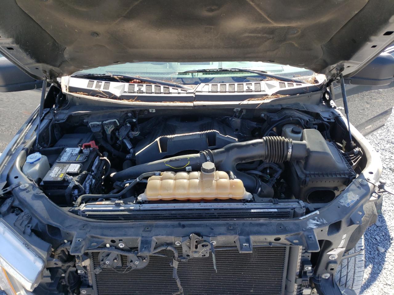 Photo 7 from auction – 2018 FORD F150 SUPER with VIN 1FTEW1EG5JFD16394