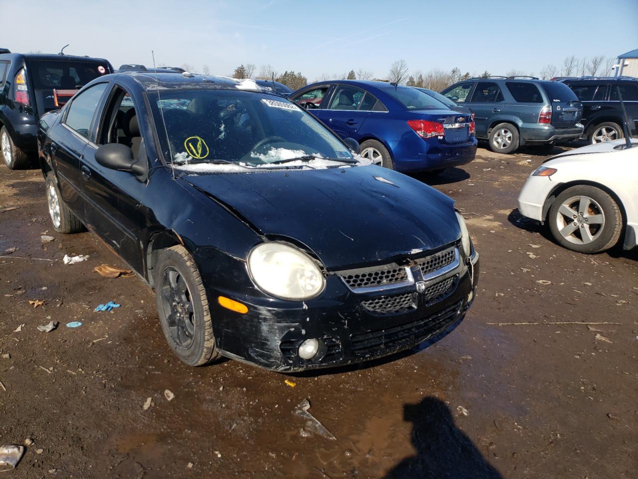 DODGE NEON SXT 2005 with VIN 1B3ES56C15D186387 - Photo from auction