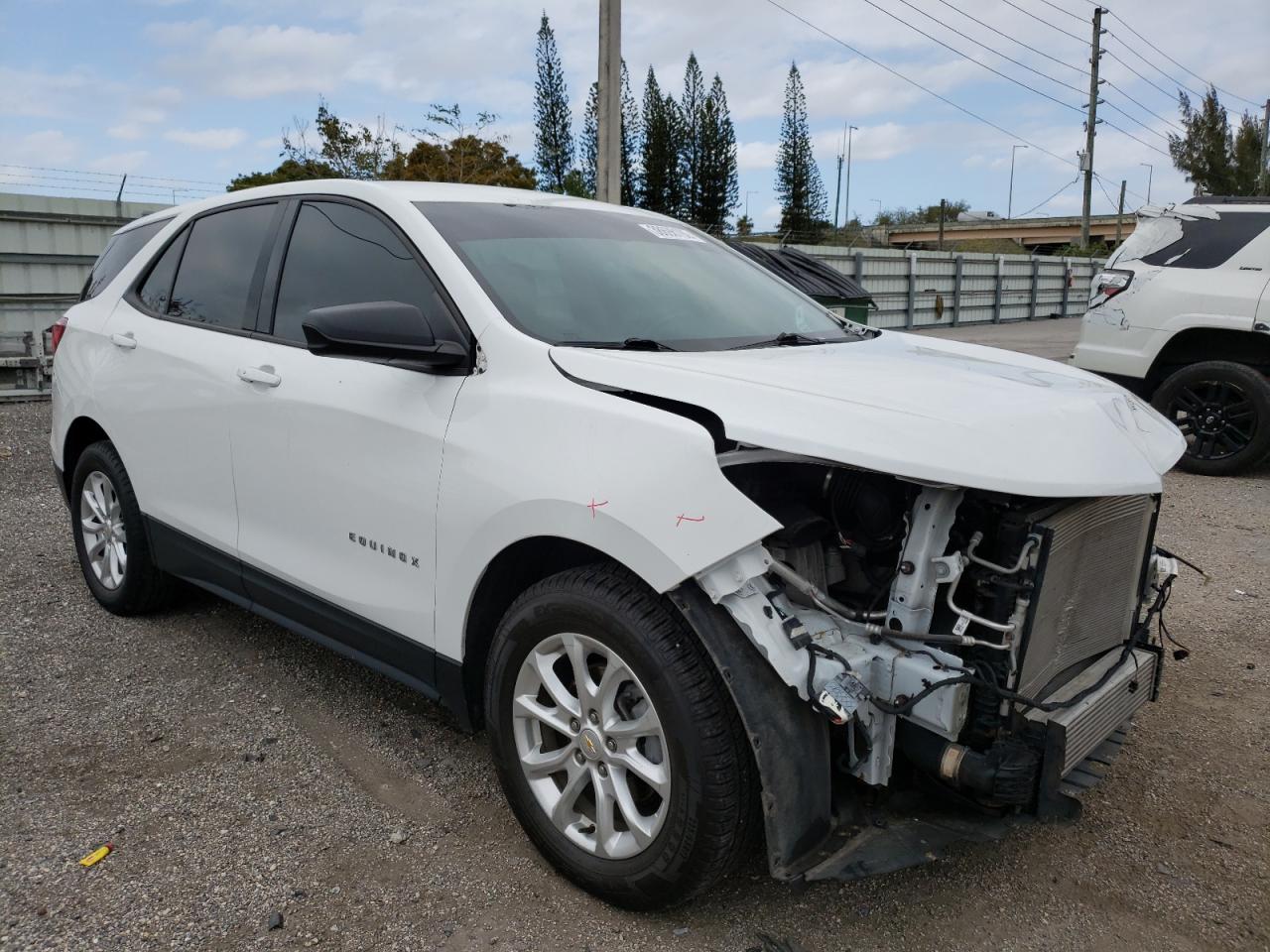 CHEVROLET EQUINOX LS 2019 with VIN 2GNAXHEV4K6155770 - Photo from auction