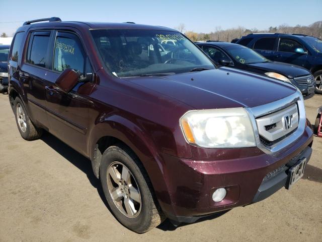 HONDA PILOT EXL 2011 with VIN 5FNYF4H54BB011435 - Photo from auction