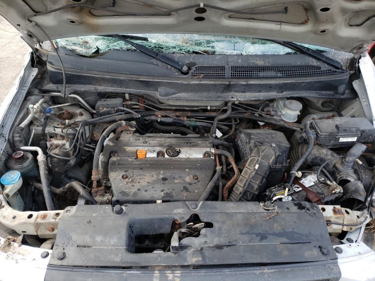 Photo 7 from auction – 2007 HONDA ELEMENT EX with VIN 5J6YH287X7L006044