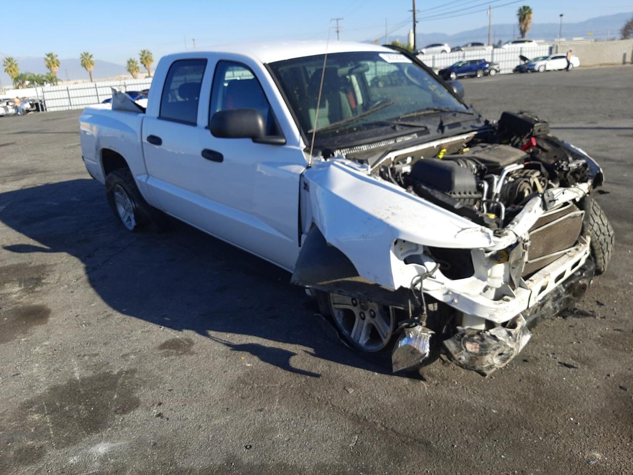 DODGE DAKOTA SLT 2011 with VIN 1D7RE3GP3BS633697 - Photo from auction