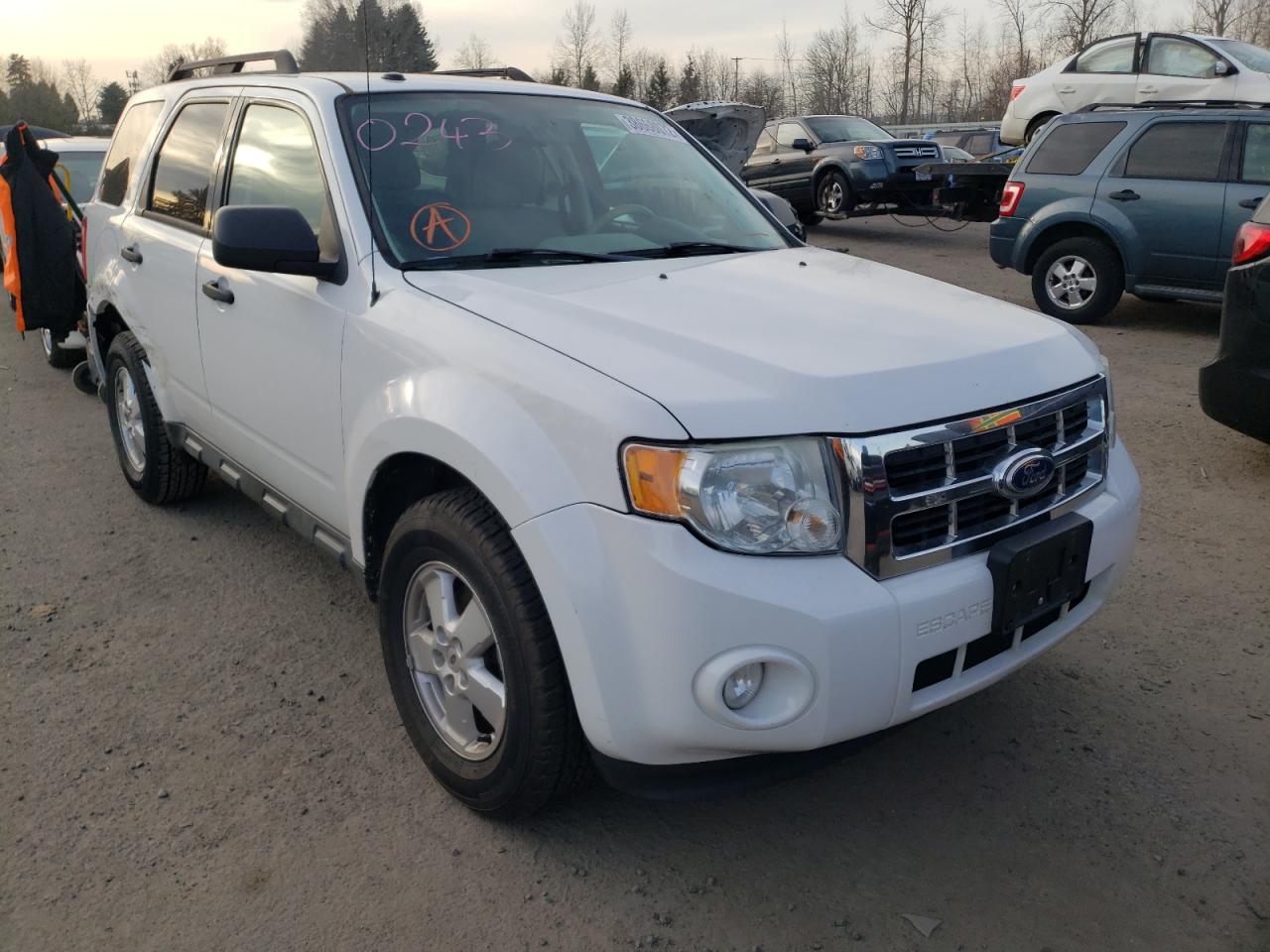 FORD ESCAPE XLT 2010 with VIN 1FMCU0DG2AKC04227 - Photo from auction