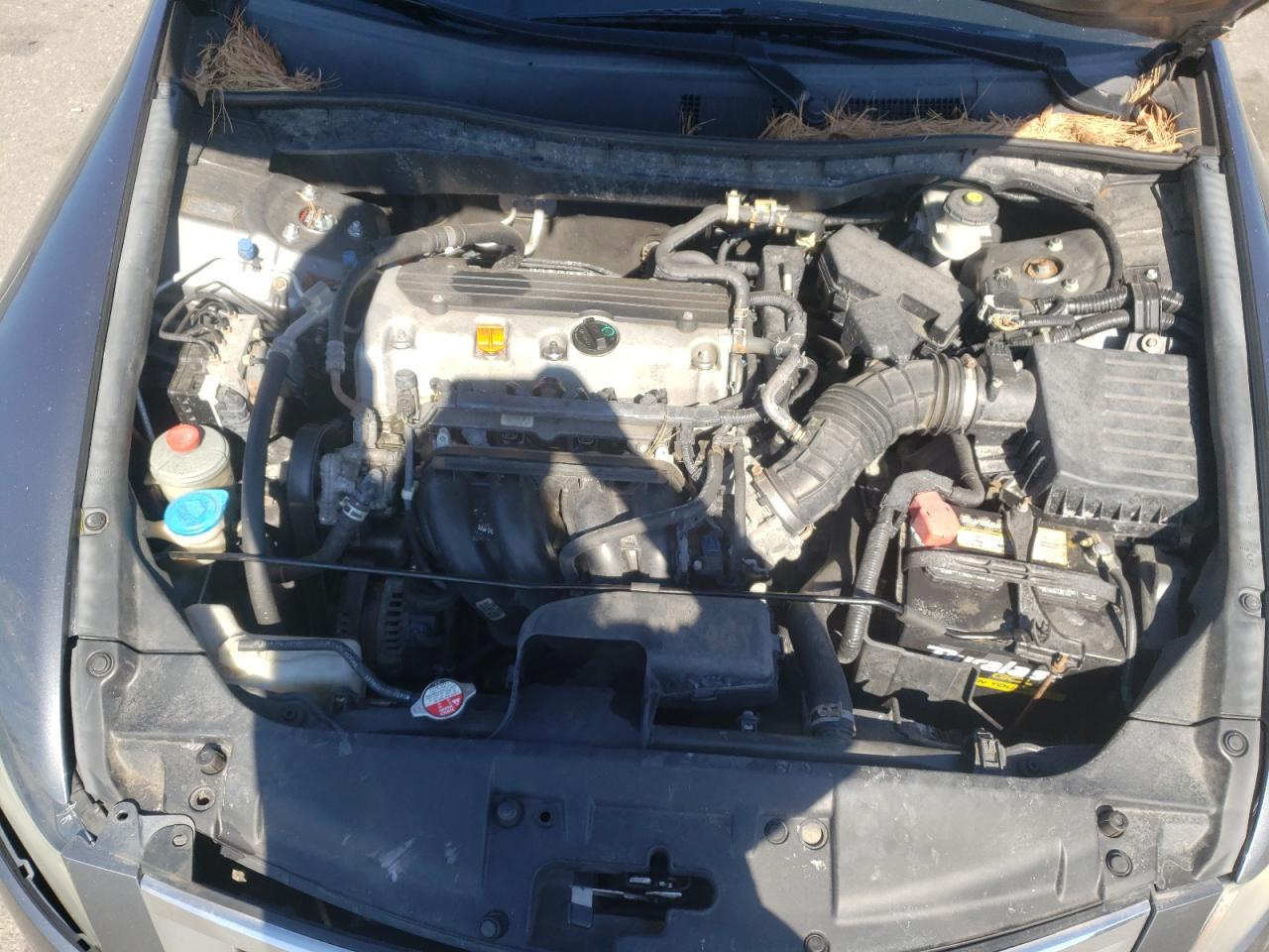 Photo 7 from auction – 2010 HONDA ACCORD LXP with VIN 1HGCP2F44AA034650