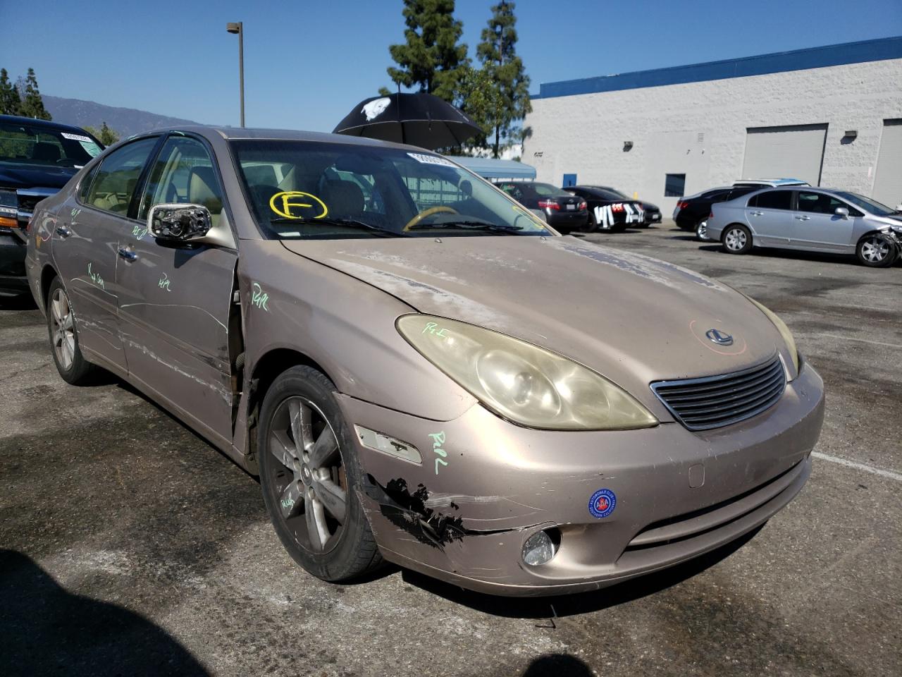 LEXUS ES 330 2006 with VIN JTHBA30G665159121 - Photo from auction