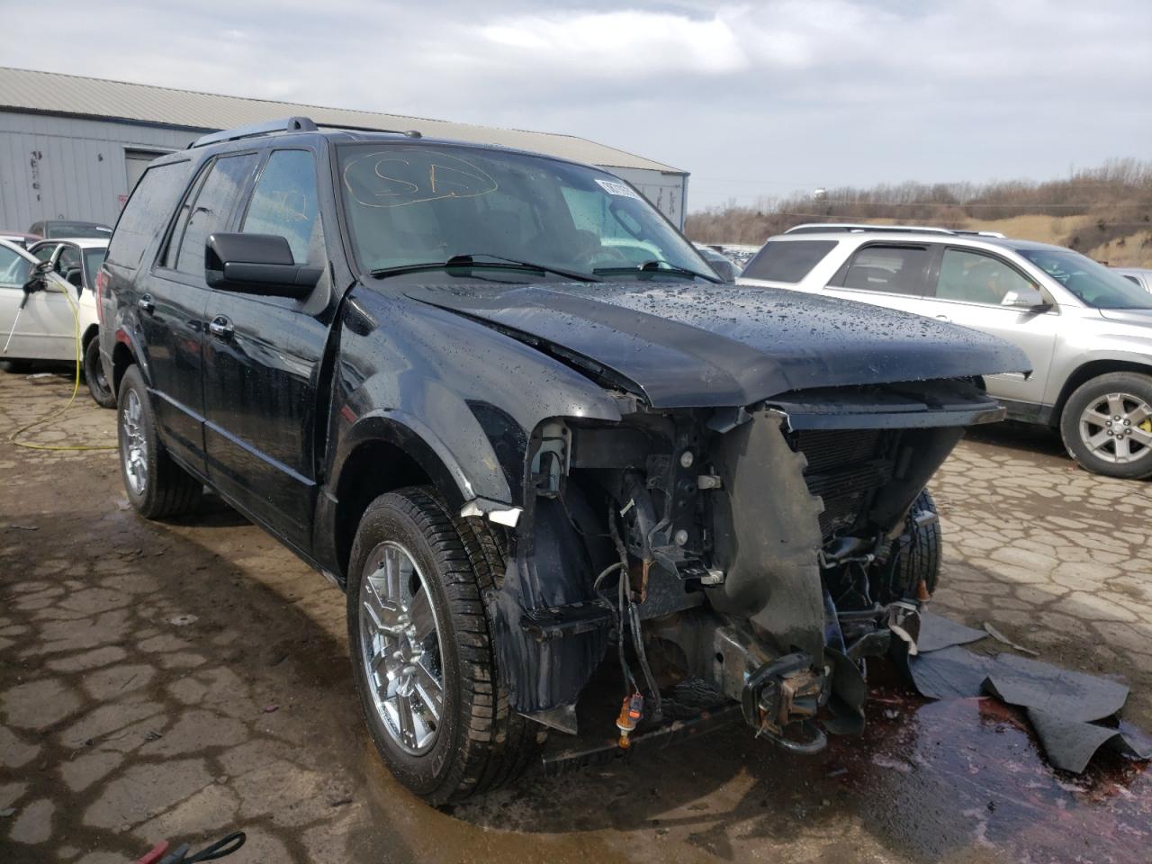 FORD EXPEDITION 2009 with VIN 1FMFU20599EB20820 - Photo from auction