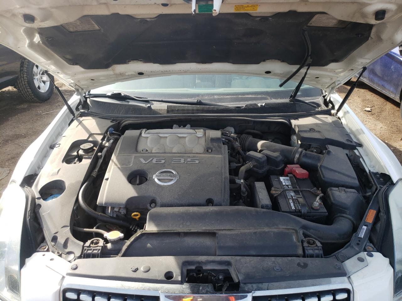 Photo 7 from auction – 2004 NISSAN MAXIMA SE with VIN 1N4BA41E34C877681