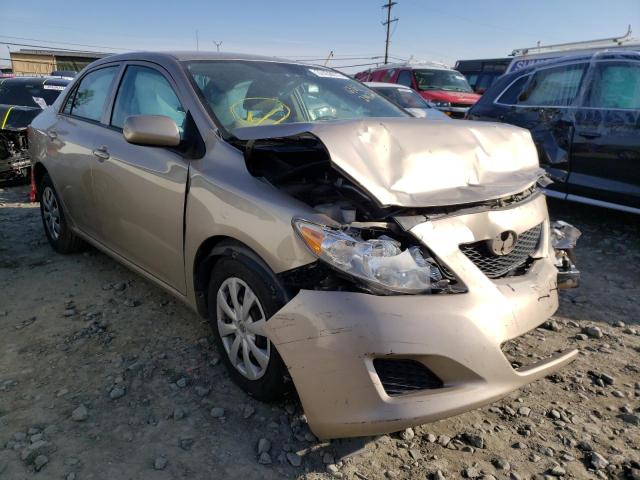 TOYOTA COROLLA BA 2009 with VIN 2T1BU40E19C009132 - Photo from auction