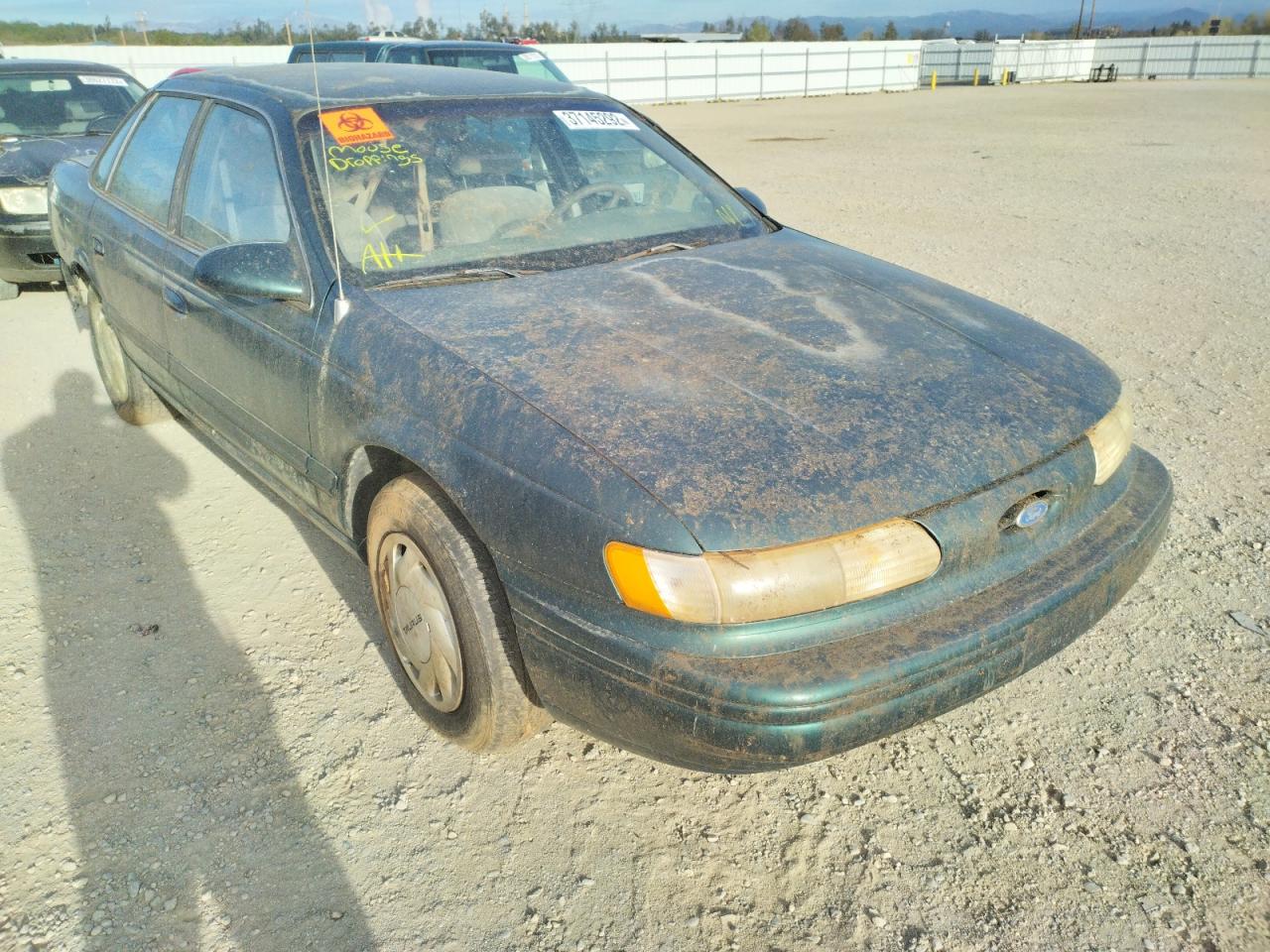 FORD TAURUS GL 1994 with VIN 1FALP5249RG104003 - Photo from auction