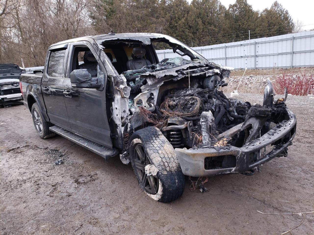 FORD F150 SUPER 2020 with VIN 1FTEW1E55LFB59046 - Photo from auction