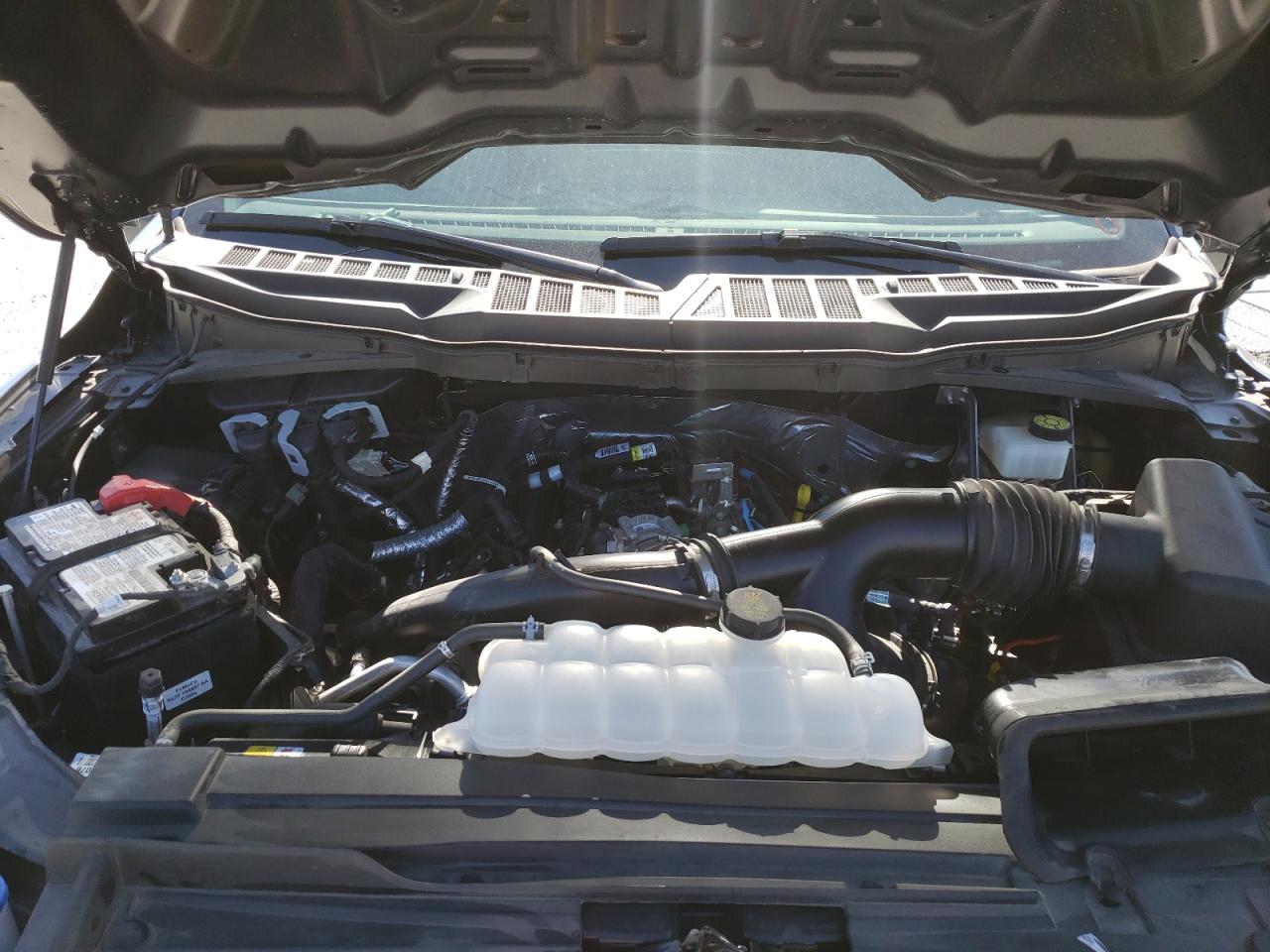 Photo 7 from auction – 2021 FORD F150 SUPER with VIN 1FTEW1CP7MFC46906