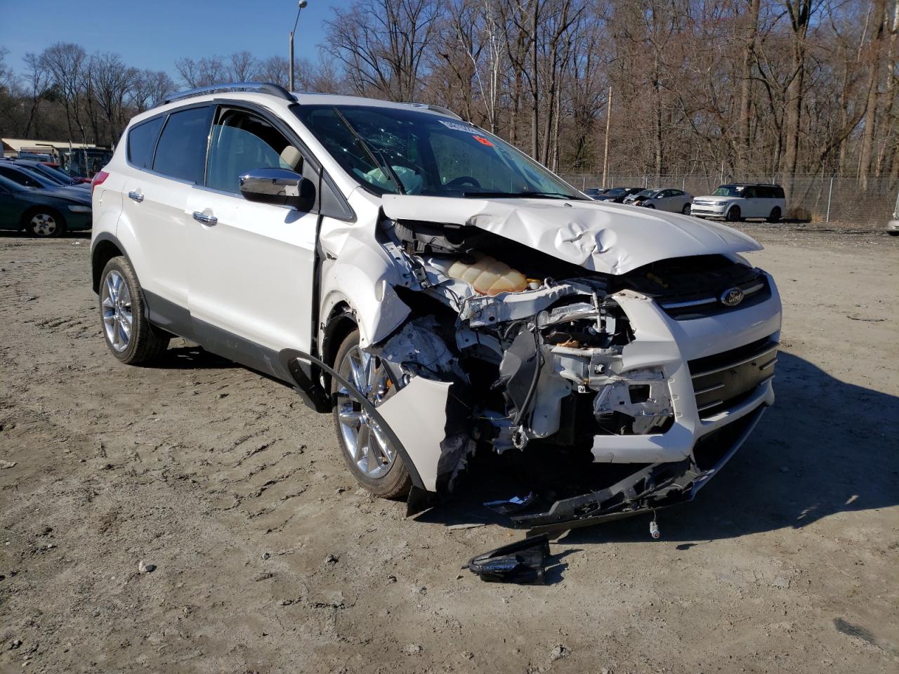 FORD ESCAPE SE 2014 with VIN 1FMCU9G99EUC56353 - Photo from auction