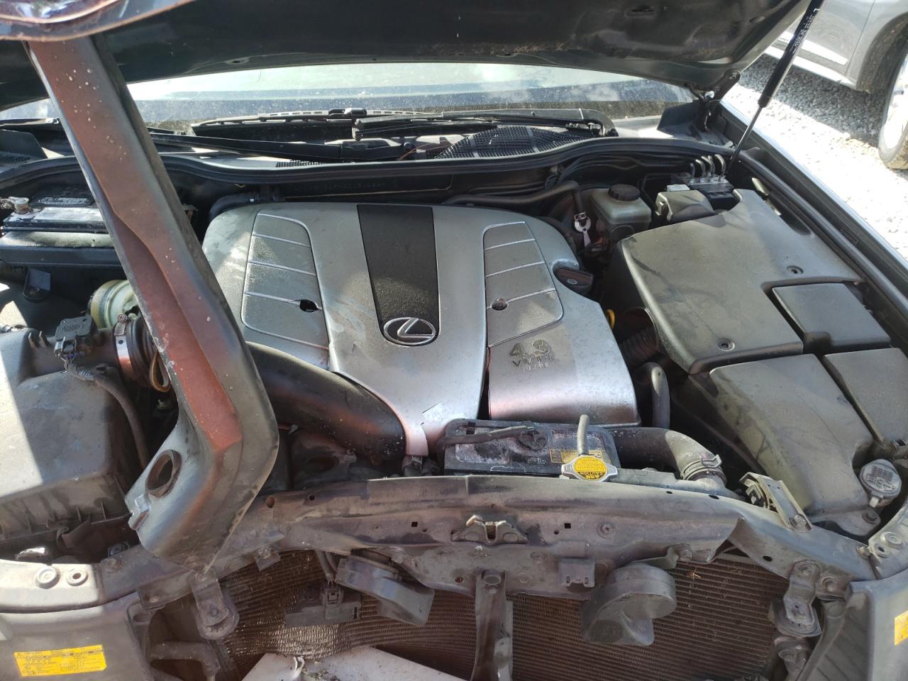 Photo 7 from auction – 2004 LEXUS LS 430 with VIN JTHBN36FX40131464