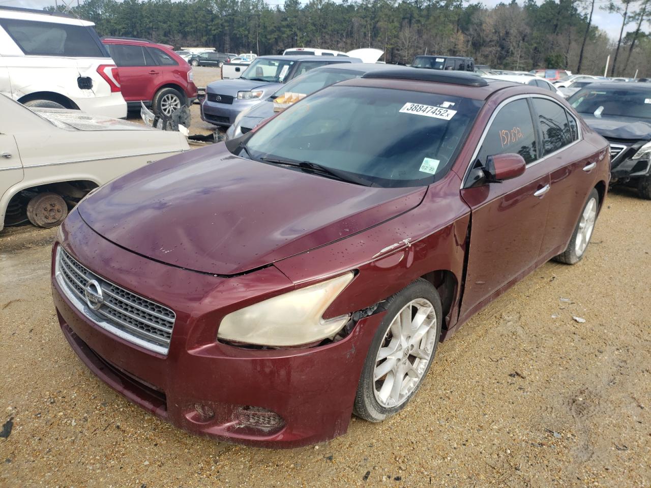 Photo 2 from auction – 2010 NISSAN MAXIMA S with VIN 1N4AA5AP7AC817708