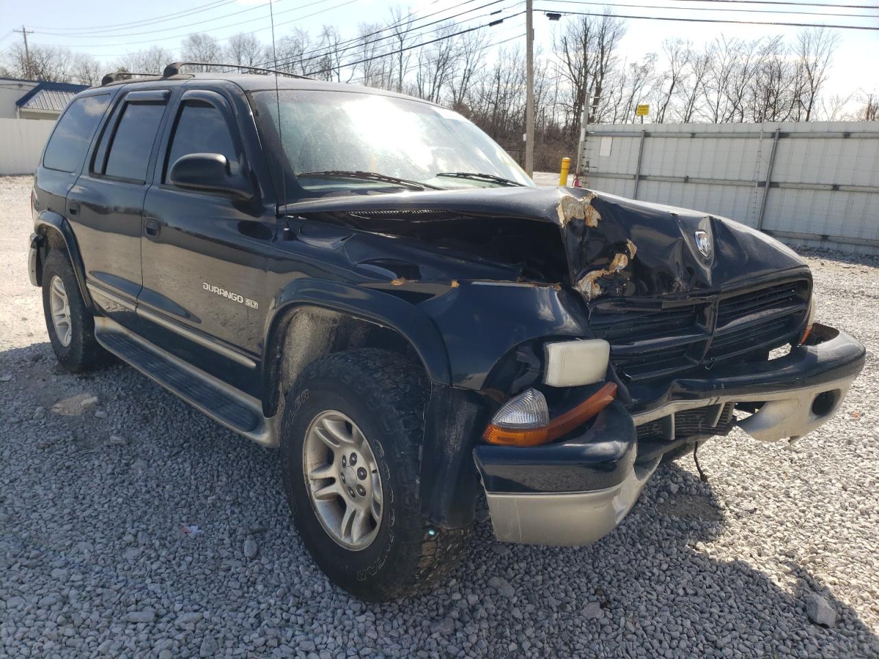DODGE DURANGO 2001 with VIN 1B4HS28N31F514624 - Photo from auction