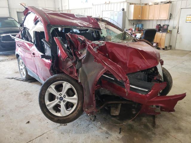 FORD ESCAPE SE 2014 with VIN 1FMCU0GX4EUA12748 - Photo from auction