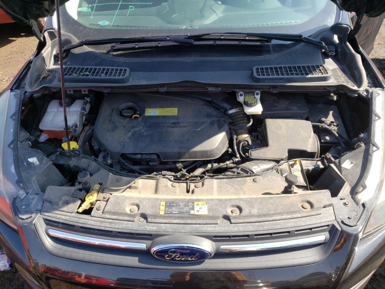 Photo 7 from auction – 2014 FORD ESCAPE SE with VIN 1FMCU9GXXEUB94265