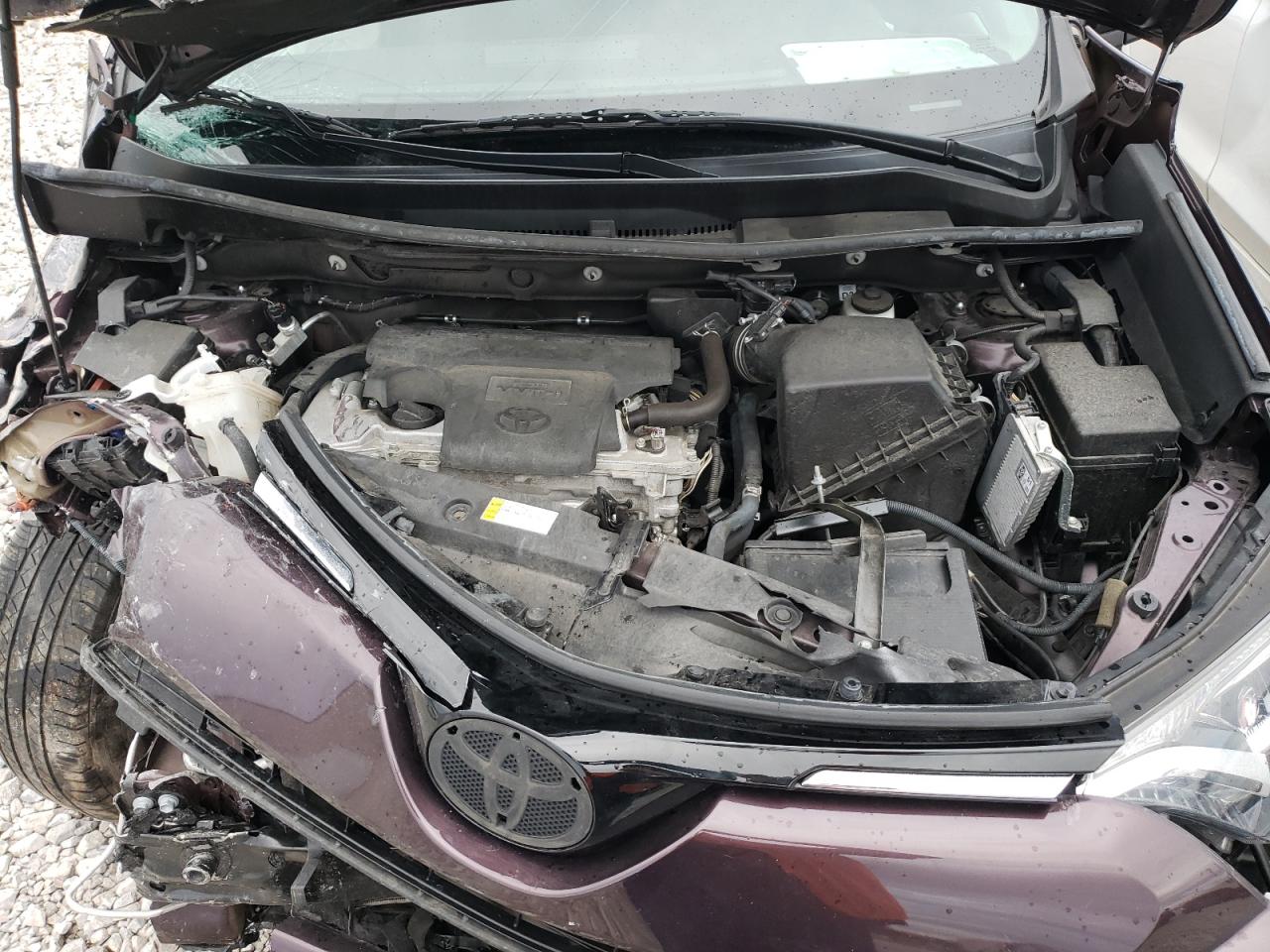Photo 7 from auction – 2016 TOYOTA RAV4 XLE with VIN 2T3WFREV8GW288714