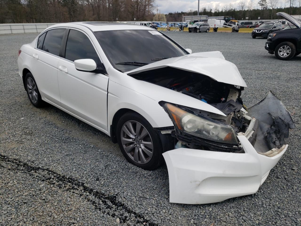 HONDA ACCORD EXL 2011 with VIN 1HGCP2F83BA125218 - Photo from auction